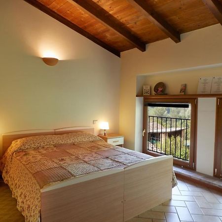 Agriturismo Ca' Del Ciuco Vezzano sul Crostolo Kültér fotó